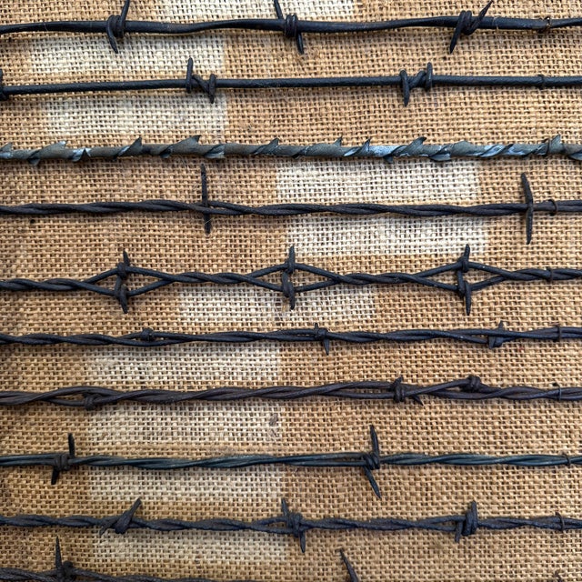 Collection of Mounted 19th Century American Barbed Wire Specimens For Sale - Image 10 of 17