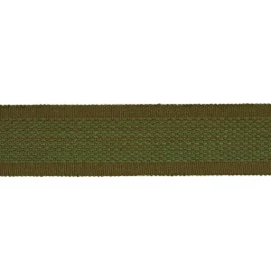 Schumacher Cardiff Tape in Green