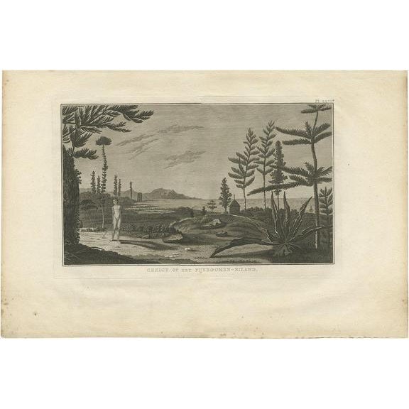 Early 19th Century J. Cook, Pine Tree Island, 1803, Print For Sale - Image 5 of 5