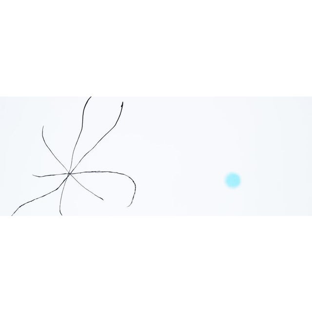 Modern Joan Miro, Spanish Garden with the Star, Screenprint For Sale - Image 3 of 5