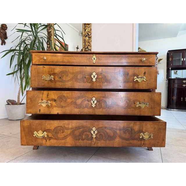 Biedermeier Chest of Drawers in Walnut For Sale - Image 9 of 17
