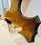 Vintage Deer Mount With Hoof Rack For Sale - Image 9 of 9