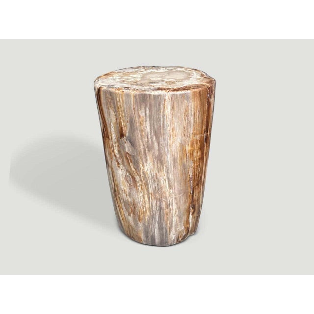 Contemporary Andrianna Shamaris Coral Toned High Quality Petrified Wood Side Table For Sale - Image 3 of 6