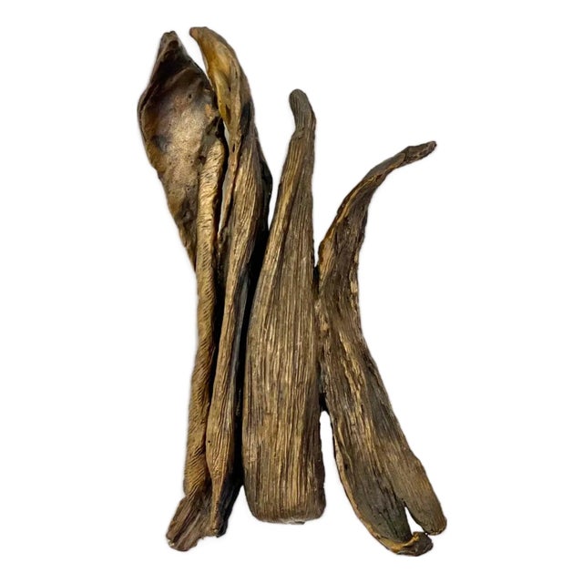 Seena Donneson, Cast Bronze Organic Husk Wall Mounted Abstract Textured Sculpture Seena Donneson For Sale