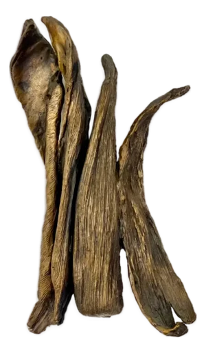 Seena Donneson, Cast Bronze Organic Husk Wall Mounted Abstract Textured Sculpture Seena Donneson