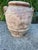 Late 20th Century Vintage Tuscan Style Terracotta Garden Urn With Mascaron Handles and Heraldic Crest For Sale - Image 5 of 9