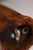 Brown Vintage French Pepper Mill For Sale - Image 8 of 9