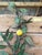 Dark Green Rare Vintage Italian Tole Lemon Tree Wall Jardiniere With Five-Light Candelabra, Two-Piece Set For Sale - Image 8 of 12