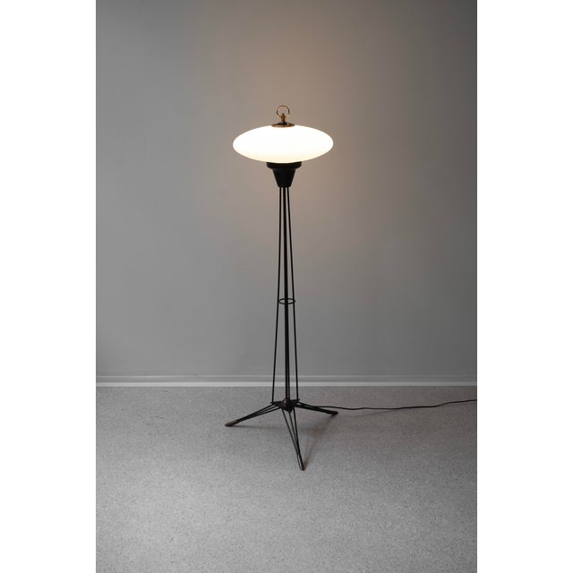 Mid-Century Modern Italian Floor Lamp from Stilnovo, 1950s For Sale - Image 6 of 9