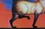 Disney FBI Operazione Gatto Film Poster For Sale - Image 5 of 7