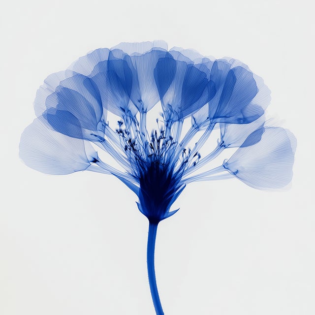 Contemporary Abstract Blue Botanical Limited Edition Fine Art Print No. 5 | Organic Modern For Sale - Image 3 of 3