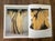 Paper Japanese Textile & Kimono Art Coffee Table Books, 1981-1984 For Sale - Image 7 of 18