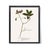 Antique Botanical Set in Oxblood - Set of 8 16" X 20" For Sale - Image 12 of 15