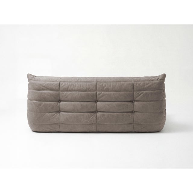 Togo Sofa in Warm Grey Microfiber by Michel Ducaroy for Ligne Roset, Set of 5 For Sale - Image 5 of 14
