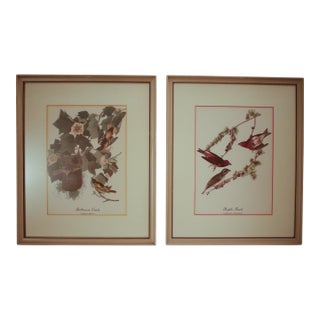 Pair of Original Mid-Century Avian Art Lithographic Prints Styled After Audubon, Framed For Sale