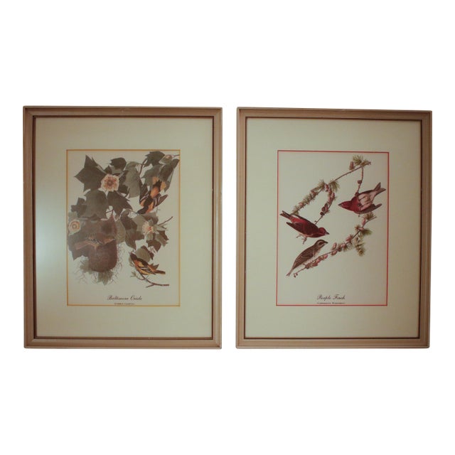 Pair of Original Mid-Century Avian Art Lithographic Prints Styled After Audubon, Framed For Sale