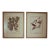 Pair of Original Mid-Century Avian Art Lithographic Prints Styled After Audubon, Framed For Sale