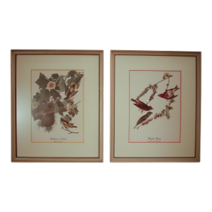 Pair of Original Mid-Century Avian Art Lithographic Prints Styled After Audubon, Framed