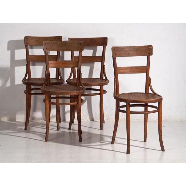 Chairs from Thonet, 1920s, Set of 4 For Sale - Image 15 of 16