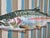 Rainbow Trout Acrylic Painting For Sale In Atlanta - Image 6 of 11