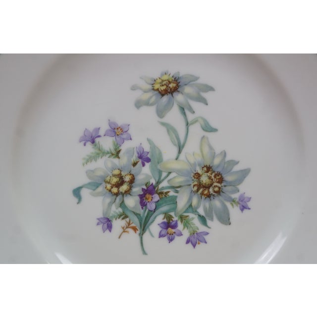 Ceramic Mid 20th Century German Bavarian Franconia K&a Krautheim Floral Serving Plates 8" - Set of 12 For Sale - Image 7 of 14