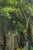 Paint Large French Artist Signed Oil Painting on Canvas of Courtyard For Sale - Image 7 of 18