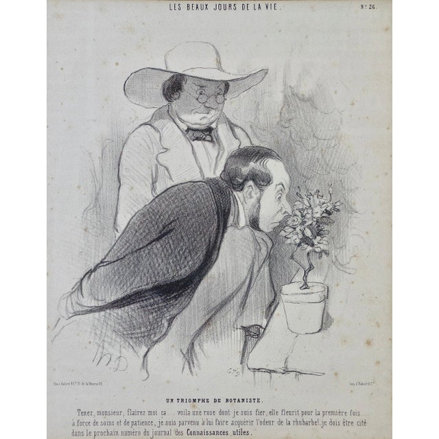A satirical lithograph by Honoré Daumier (1808-1879) entitled "Un Triomphe de Botaniste" (Triumph of the Botanist), which...