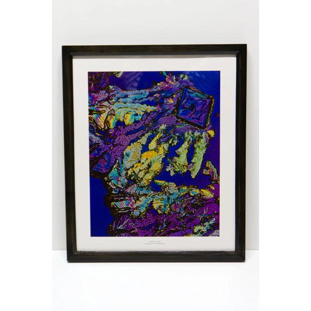 Scientific Photomicrography Prints by Jack Kath Set of 4 For Sale - Image 4 of 12