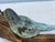 1960s Bronze of a Bird Mounted on Found Wood For Sale - Image 5 of 7