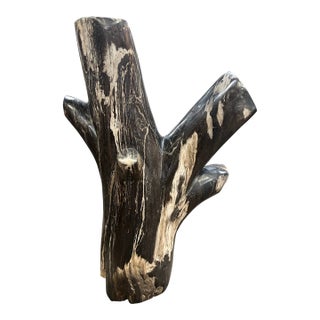 Black Petrified Tree Branch Sculpture For Sale