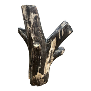Black Petrified Tree Branch Sculpture