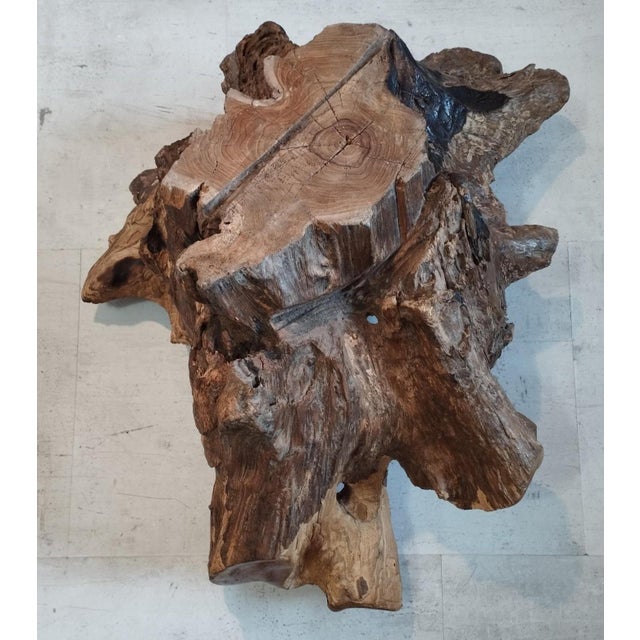 Brutalist Sculptural Wooden Centerpiece, 1970s For Sale - Image 11 of 17