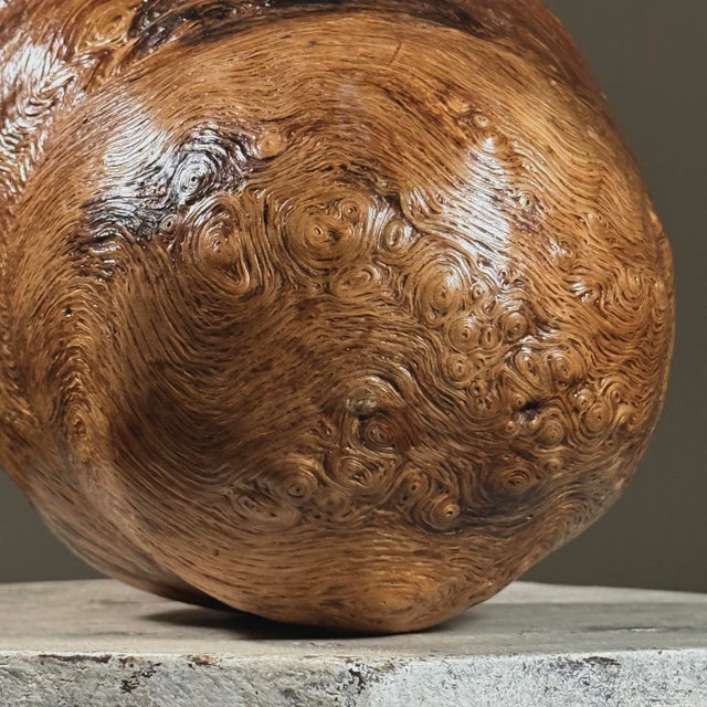 Vintage Abstract Organic Modern Burl Wood Sculpture For Sale - Image 9 of 10