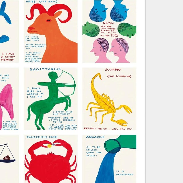 David Shrigley Signs of the Zodiac Lithograph Poster (Maxi), 2021 For Sale - Image 4 of 5