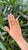 Modern Set in 18k Gold, Orange Sapphire & Tapered Baguette Diamond Engagement Ring, Size 6 For Sale - Image 3 of 10