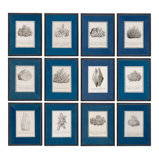 Reproduction Antique Mineral Specimen Folio Prints | Set of 12 | 16" X 20" For Sale