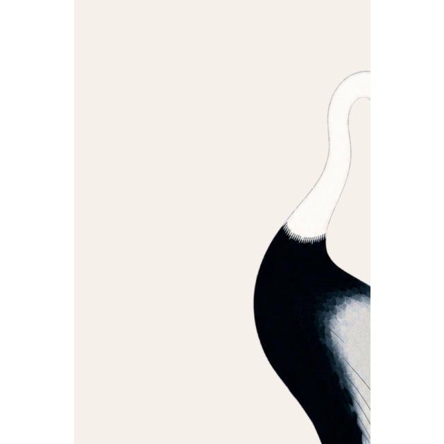 A graceful crane study inspired by historical Japanese crane imagery. Set against a warm parchment ivory background...