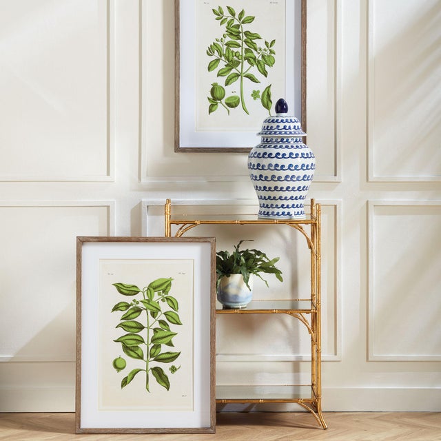 Kenneth Ludwig Chicago Guava Prints, Set Of 2 For Sale - Image 4 of 6