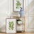 Kenneth Ludwig Chicago Guava Prints, Set Of 2 For Sale - Image 4 of 6
