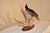 Mounted Hooded Merganser on Driftwood For Sale In Greensboro - Image 6 of 7