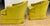 Mid-Century Modern Vintage Mid Century Drexel Heritage Chartreuse Velvet Swivel Chairs - a Pair For Sale - Image 3 of 13