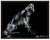 Message us to inquire about custom framing options! (Included for free with every purchase) The artwork here, "Borzoi", is...