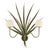 Contemporary Pompano Sconce by Lowcountry Originals For Sale - Image 3 of 3