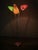 German Adjustable Three-Light Floor Lamp, 1960s For Sale - Image 4 of 16