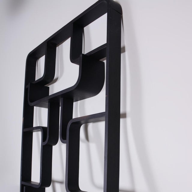 Vintage Room Divider by L. Volak for Drevopodnik Holesov, 1960s For Sale - Image 4 of 15