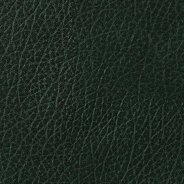 Sample - Schumacher Canyon Leather Wallpaper in Hunter For Sale