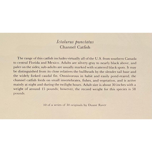 Silver Mid 20th Century Set of 3 Vintage Dept.of the Interior/U.S. Fish and Wildlife Service, Color Plate Original Prints Framed. For Sale - Image 8 of 10