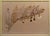 1939 Pressed Framed Swedish Herbaria with Nomenclature Label Measures 12 1/4" wide, 7/8" deep and 10 1/8" tall. The framed...