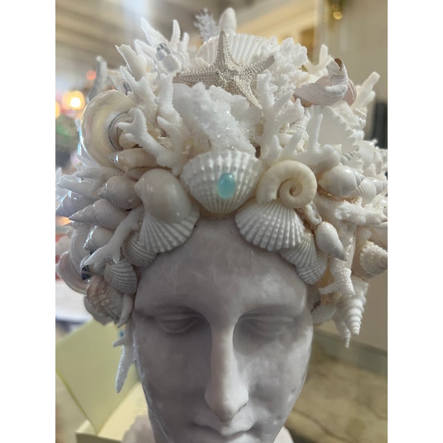 2020s CSS Seashell Marble Head of Hygeia For Sale - Image 5 of 5