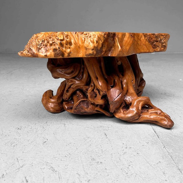 Mid-Century Yakusugi (Yakusugi) Burl Wood Plant Stand, Japan, 1940s For Sale - Image 8 of 14